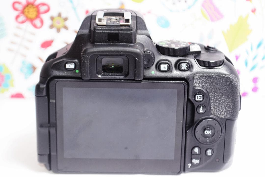 ✨極美品✨ ❤ニコン❤ ✨D5600✨☆タッチ操作＆Bluetooth搭載☆
