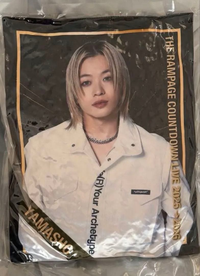 山本彰吾　クッション　カウコン