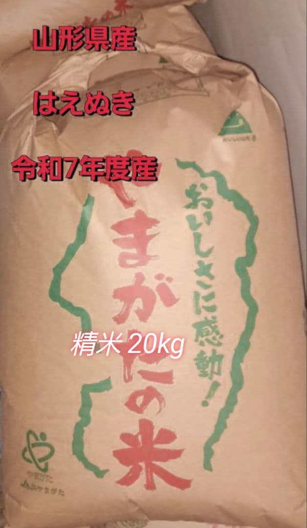 山形県産 はえぬき 精米 20kg