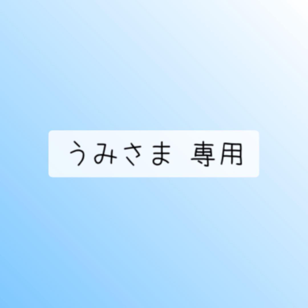 うみさま 専用