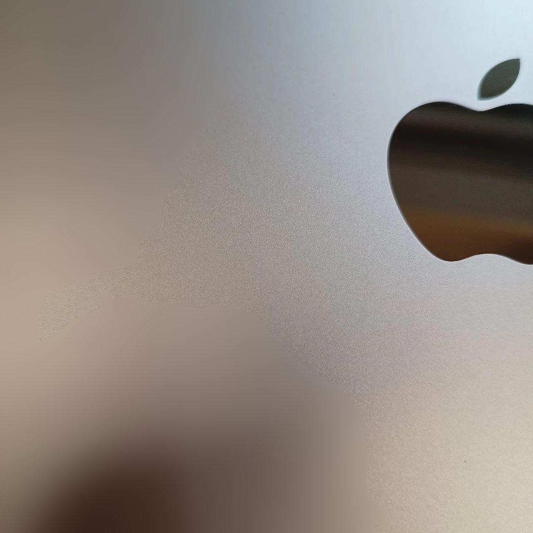 iPad Pro (第一世代)128GB Wi-Fi + Cellular