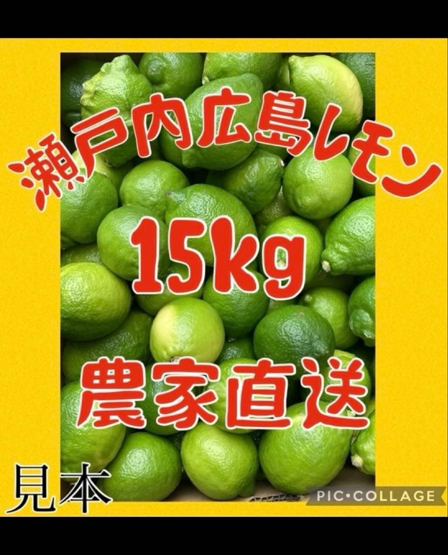 瀬戸内広島レモン♪15kg 農家直送