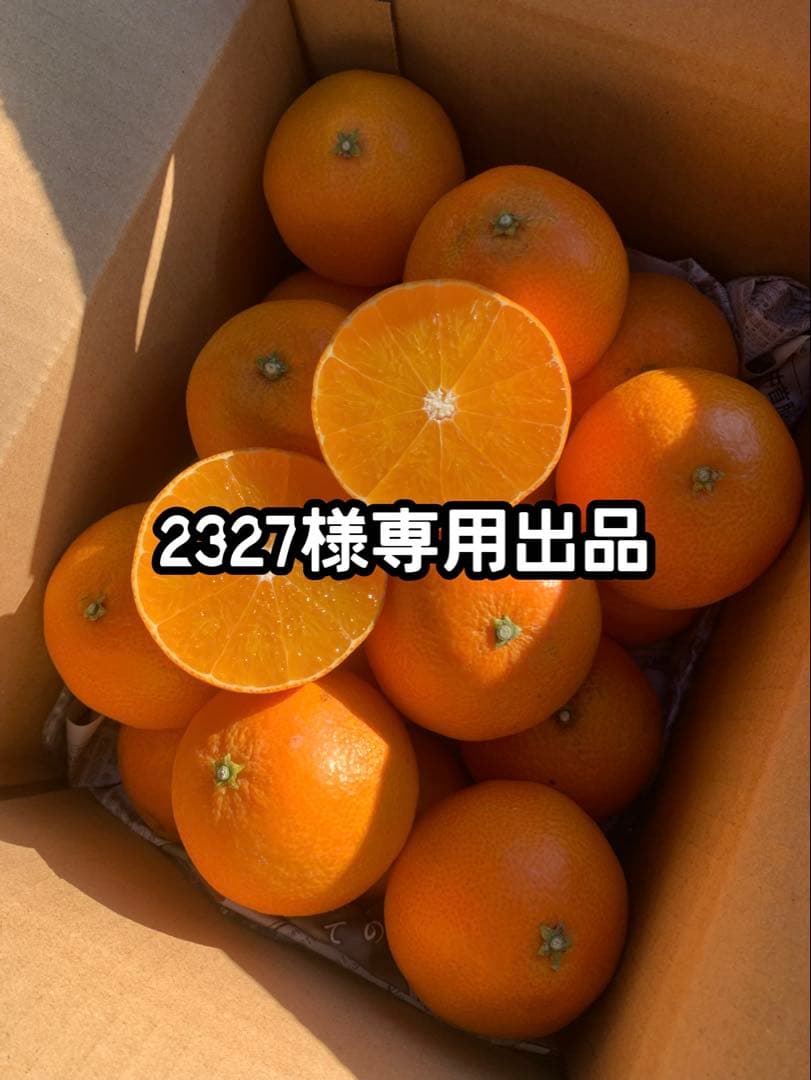 2327出品