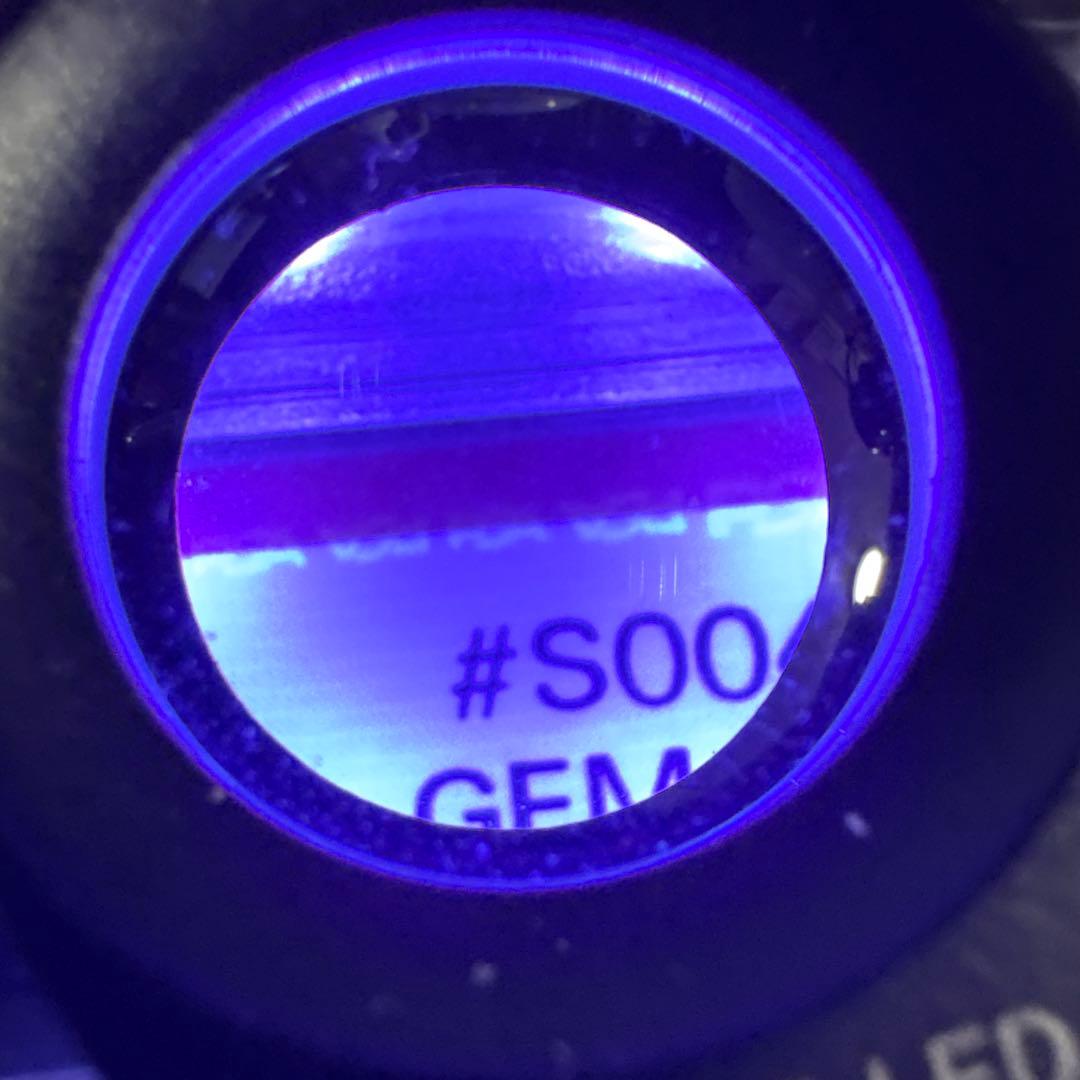 2022 UNIVERSAL X SAMMY トレーディングカード 5枚セット