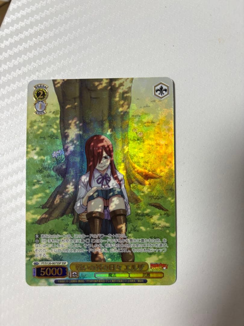 ヴァイスシュヴァルツ エルザ　フェアリーテイル