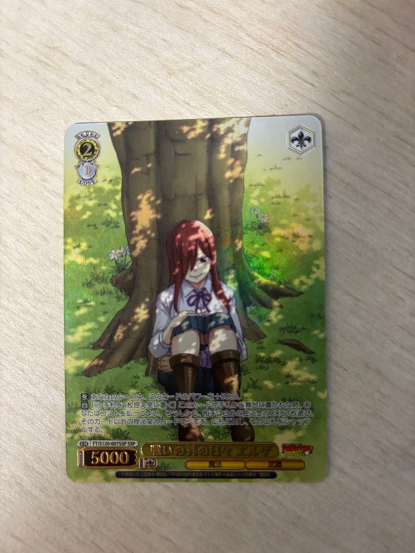 ヴァイスシュヴァルツ エルザ　フェアリーテイル