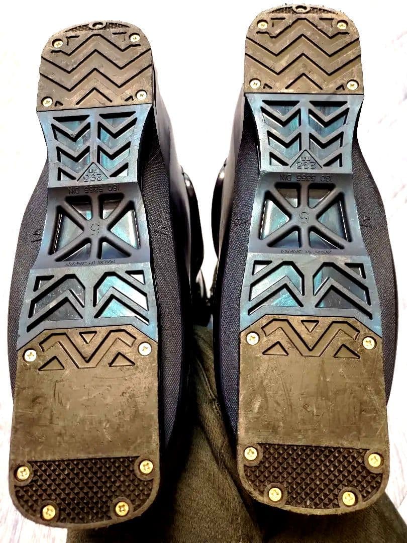 Whos honey レグザム REXXAM REVO PLUS110