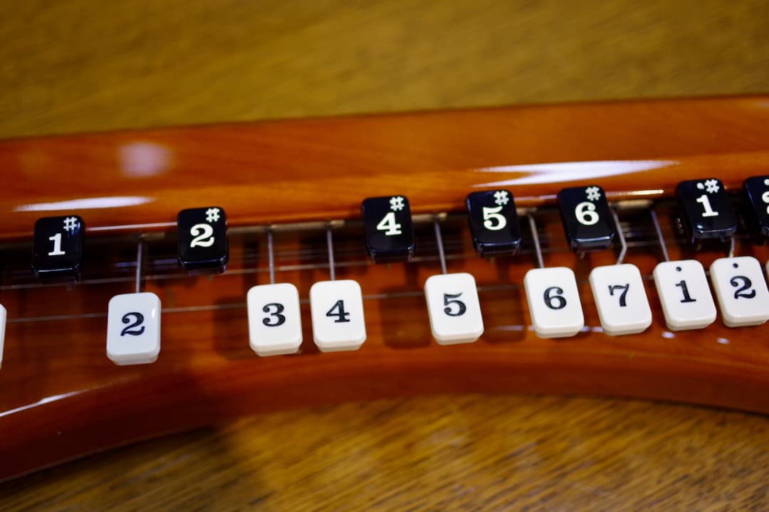 電気大正琴「こはく」ソプラノ（セミハードケース付）