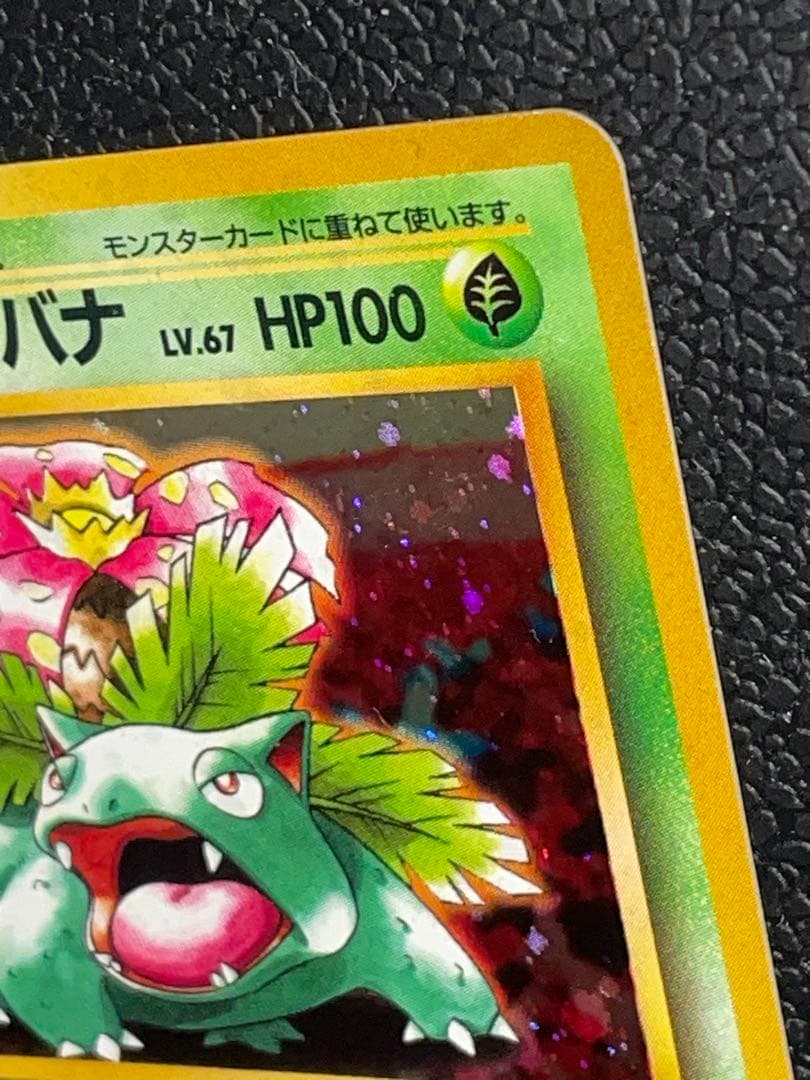 ポケモンカード 旧裏 フシギバナ　プロモ（イントロ）