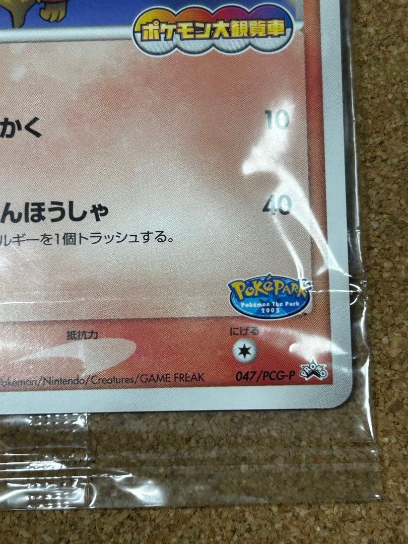 未開封　ポケパークのアチャモ　047/PCG-P プロモ　ポケモン大観覧車