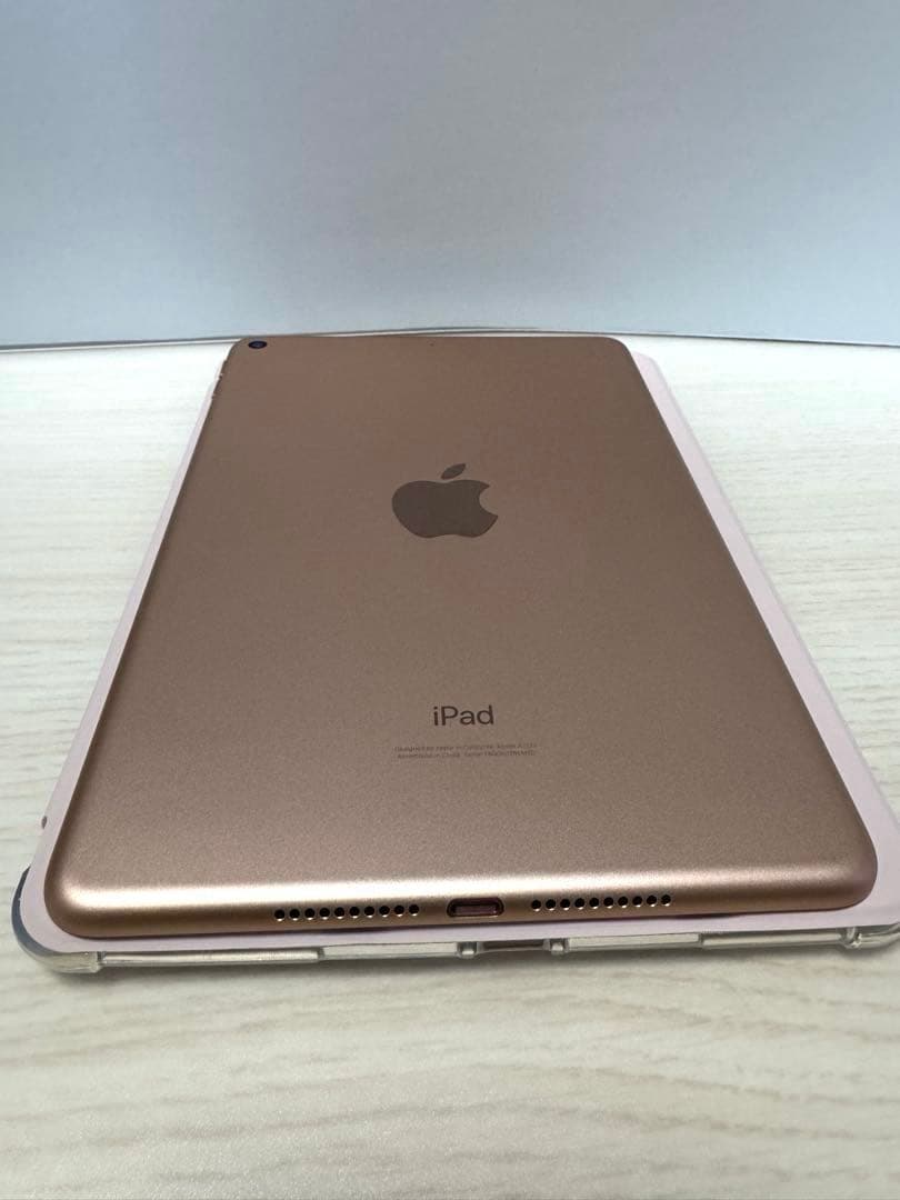 iPad mini 5 256GB Wi-Fi ゴールド バッテリー93%