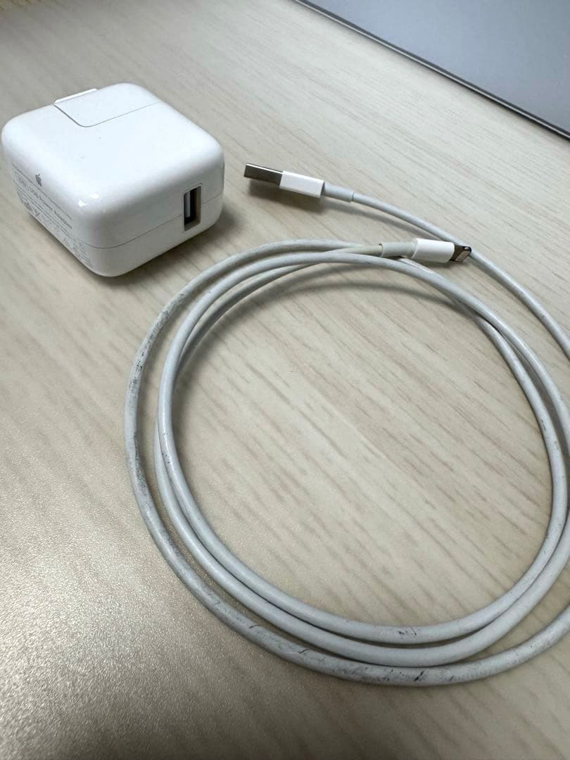 iPad mini 5 256GB Wi-Fi ゴールド バッテリー93%