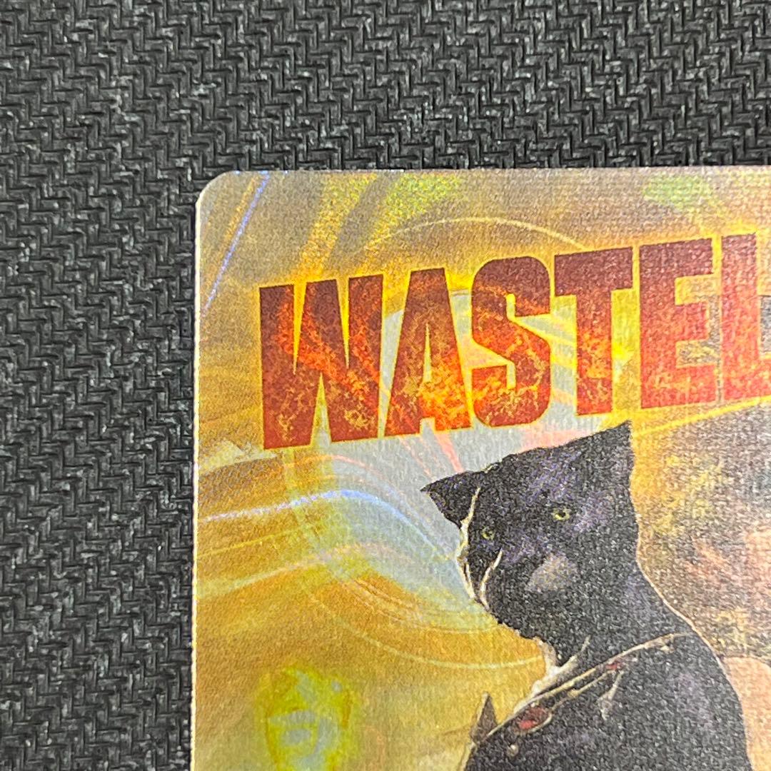 SLD 不毛の大地/Wasteland 英語版ボーダーレス ハローfoil