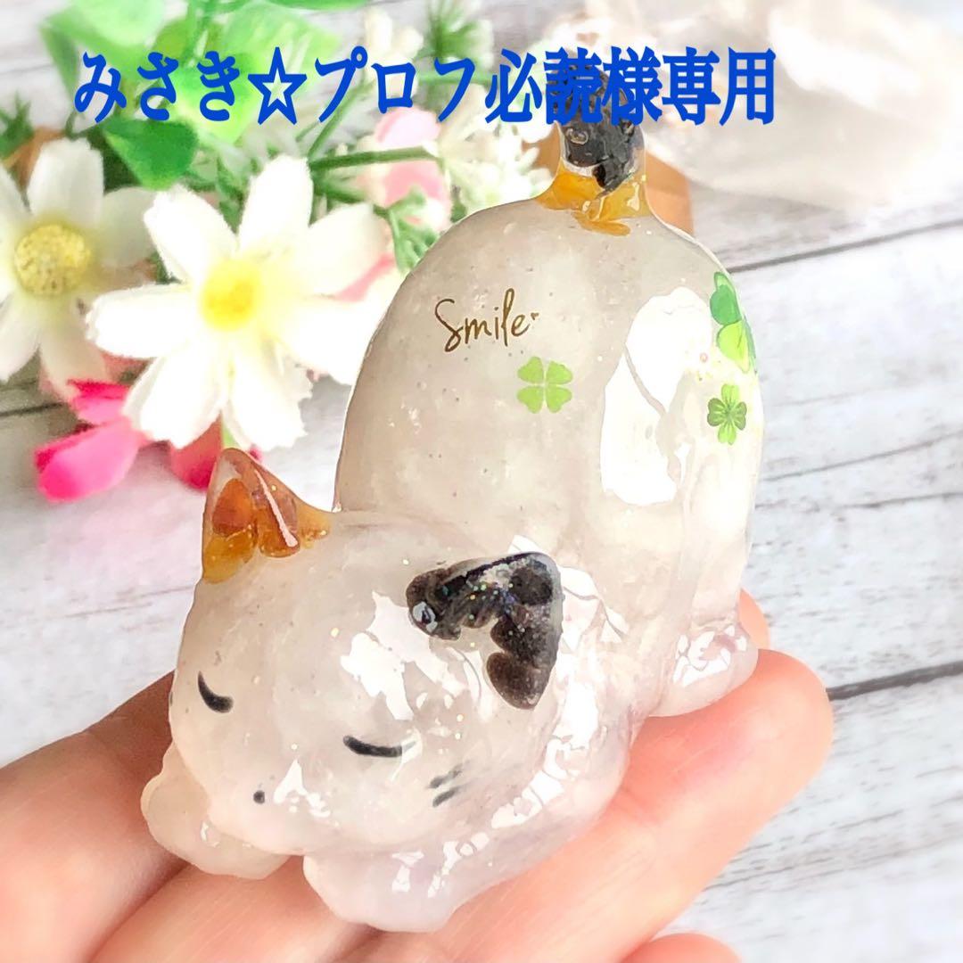 みさき☆プロフ必読ページです♥️