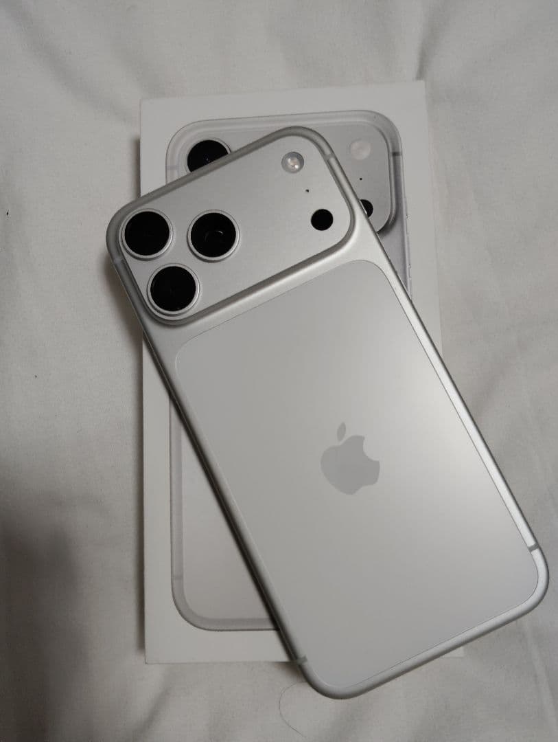 Apple iPhone シルバー 本体