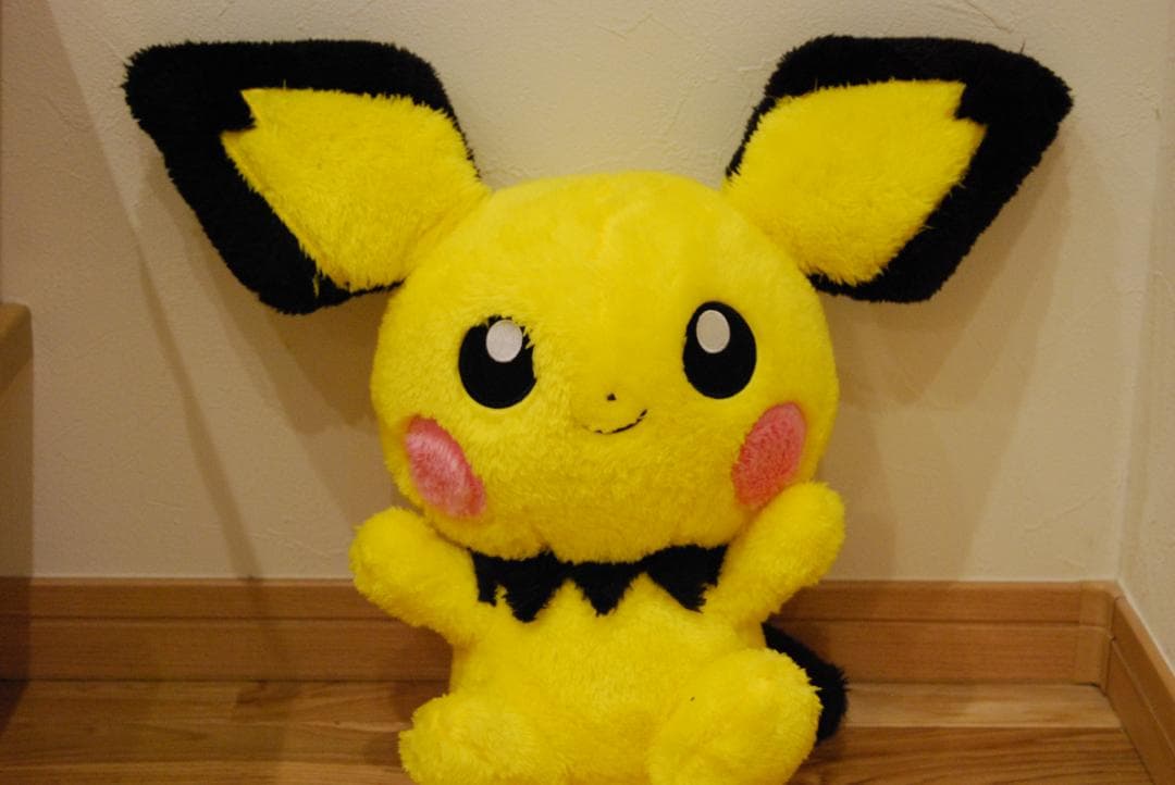 【新品級ショット数】Nikon D40x スマホ転送　すぐ撮影できる安心セット