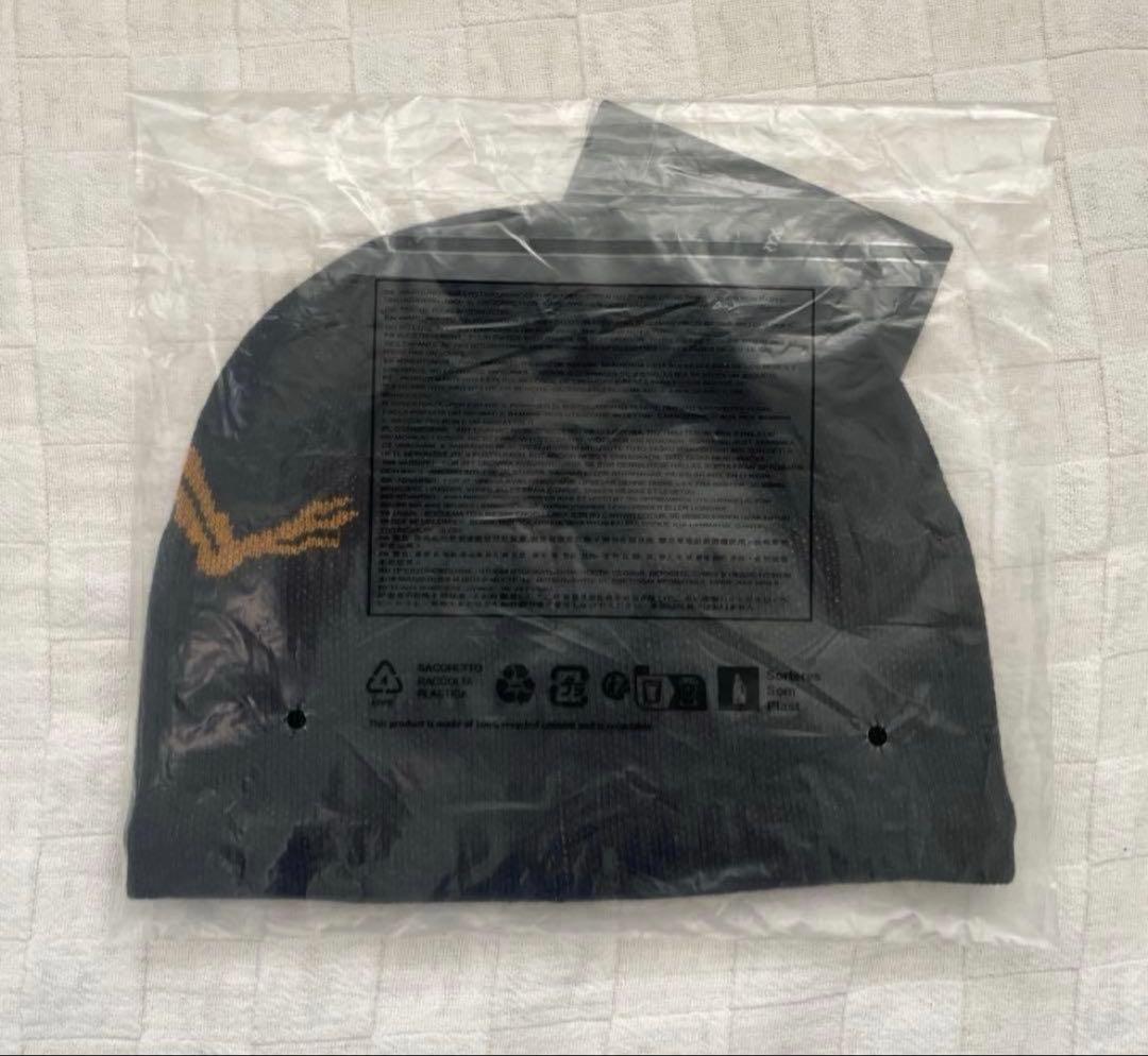 アークテリクス バードヘッドトーク Bird Head Toque 24K