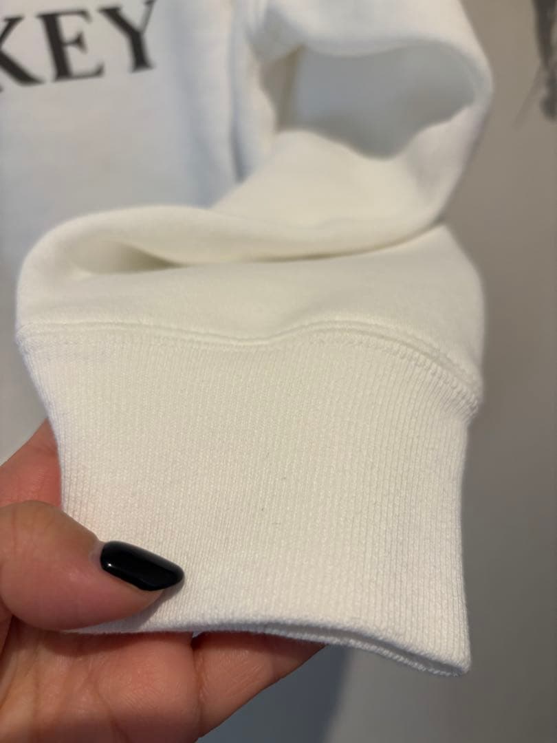 ジャーナルスタンダード レサージュ ミッキー　スウェットプルオーバー