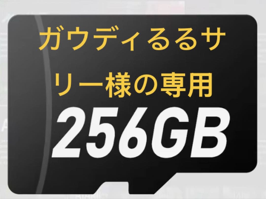 ガウディるるサリー様の専用　3枚セット