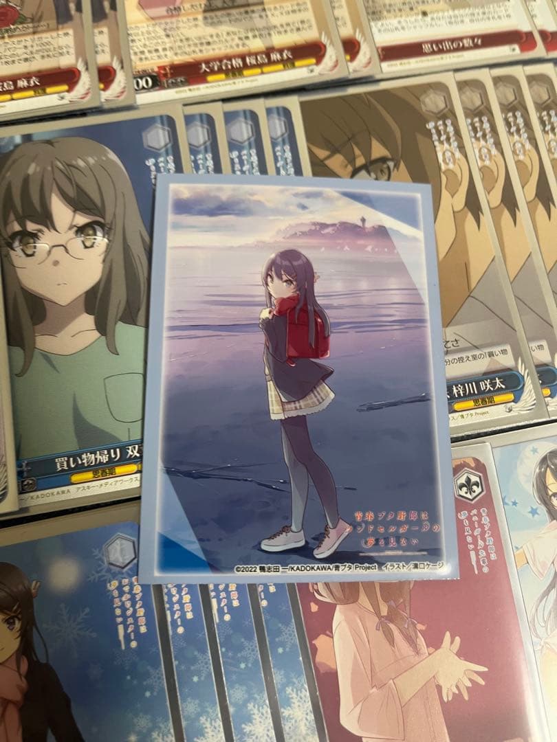 早い者勝ち‼️ 青ブタ　デッキ