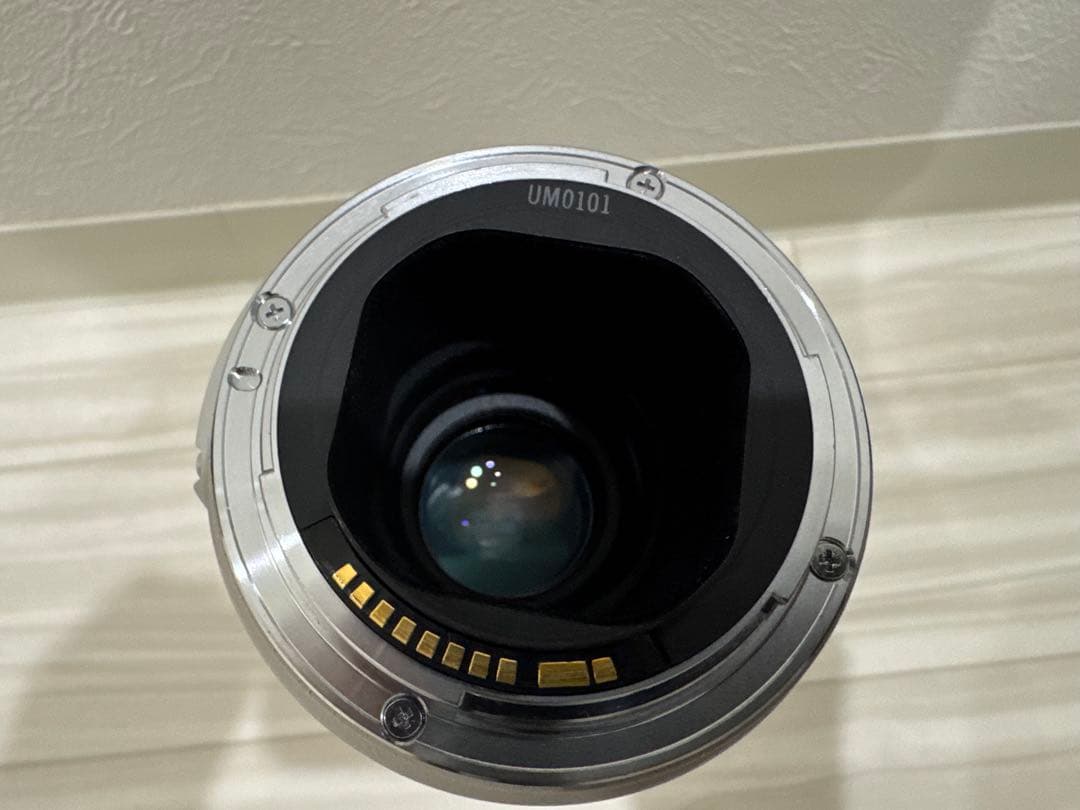 ■極美品■ CANON EF300mm F4L IS USM