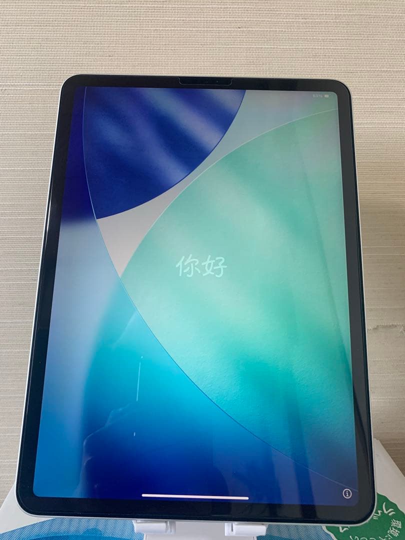 iPad Pro 11インチ　256GB Wi-Fi. A1980