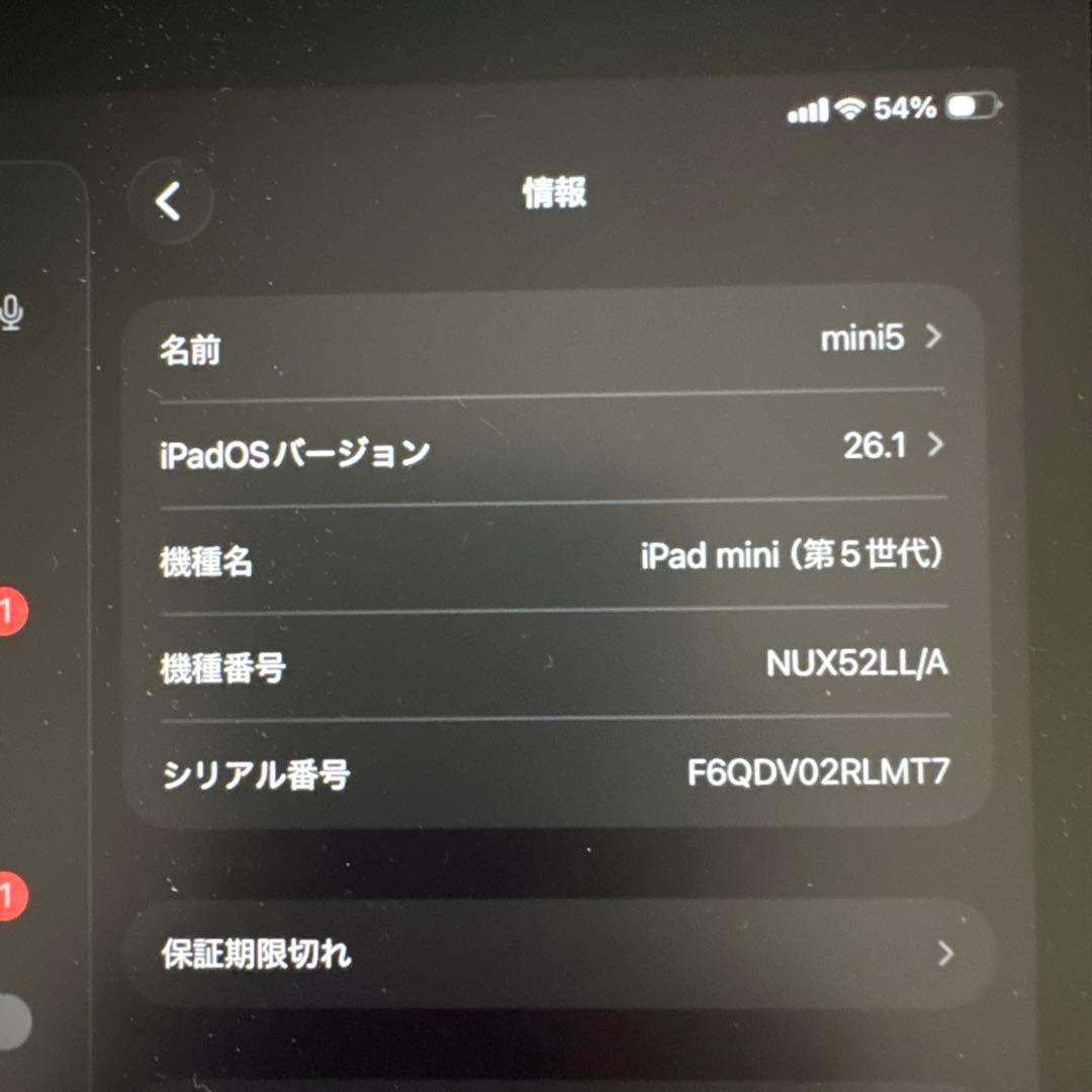 iPad本体 iPad mini 5 64GB Cellular + Apple Pencil