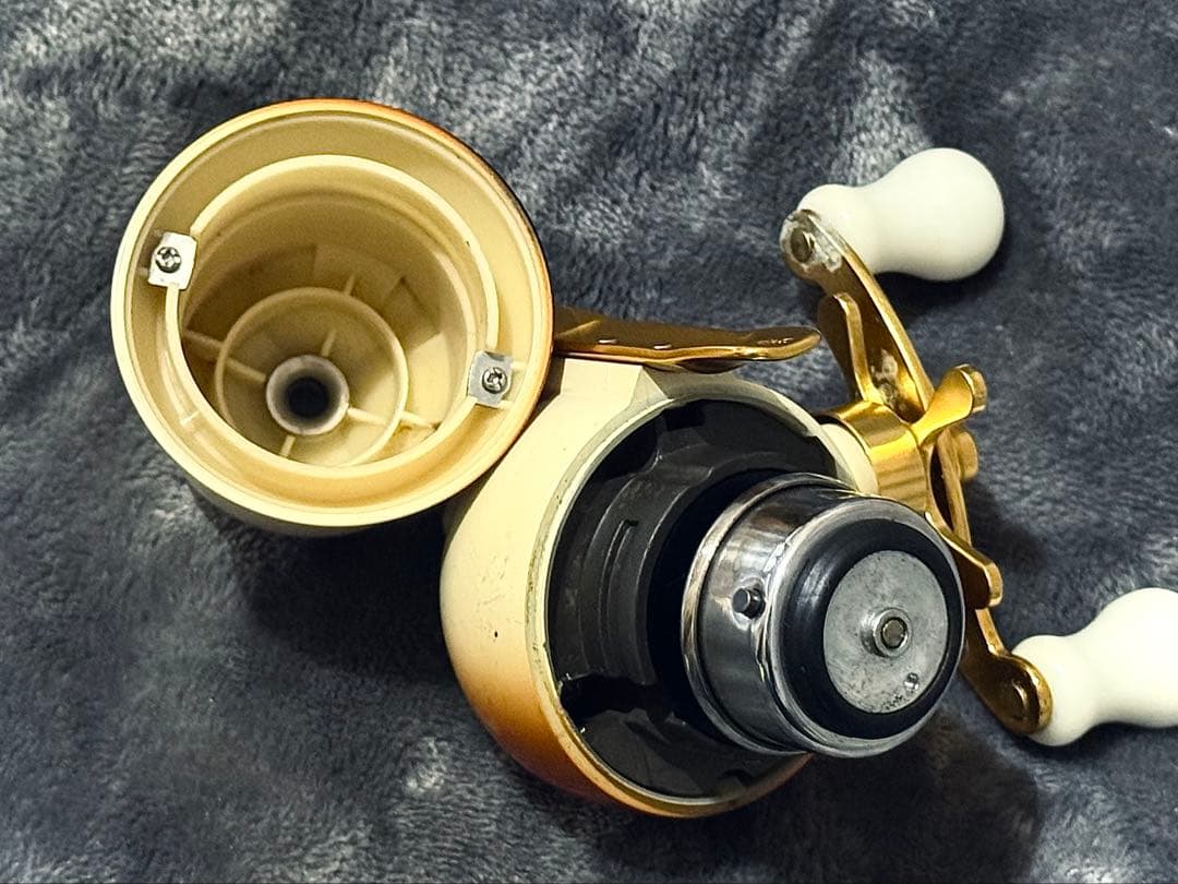 や*め様 アライ君リール