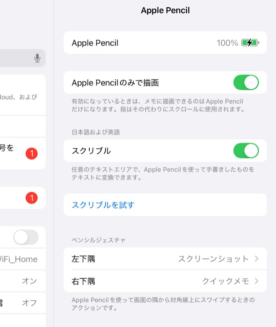 【動作確認済】Apple Pencil アップルペンシル 第2世代 保証未登録