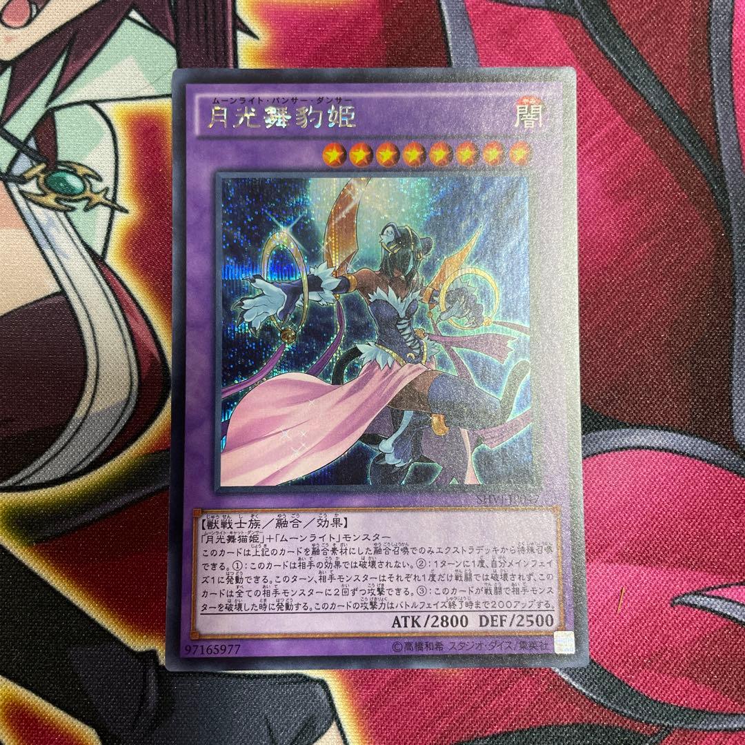 遊戯王　月光舞豹姫　シク　①