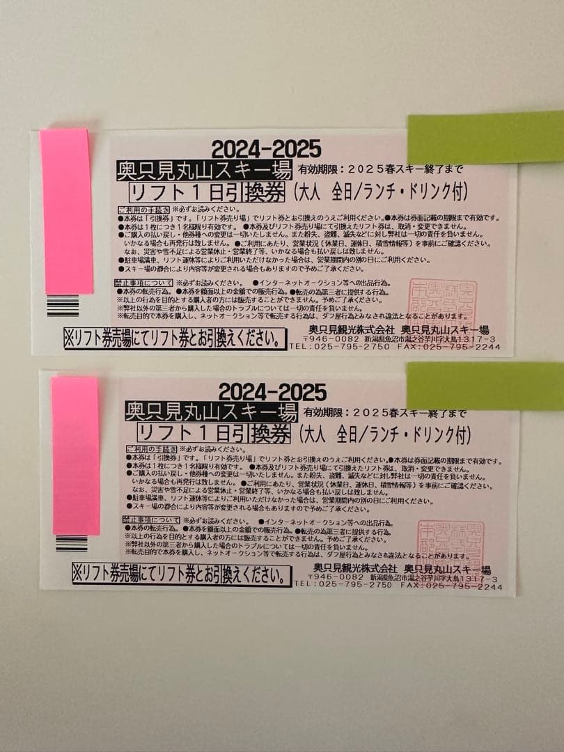 奥只見丸山スキー場　リフト一日券ランチ券付き2枚セット
