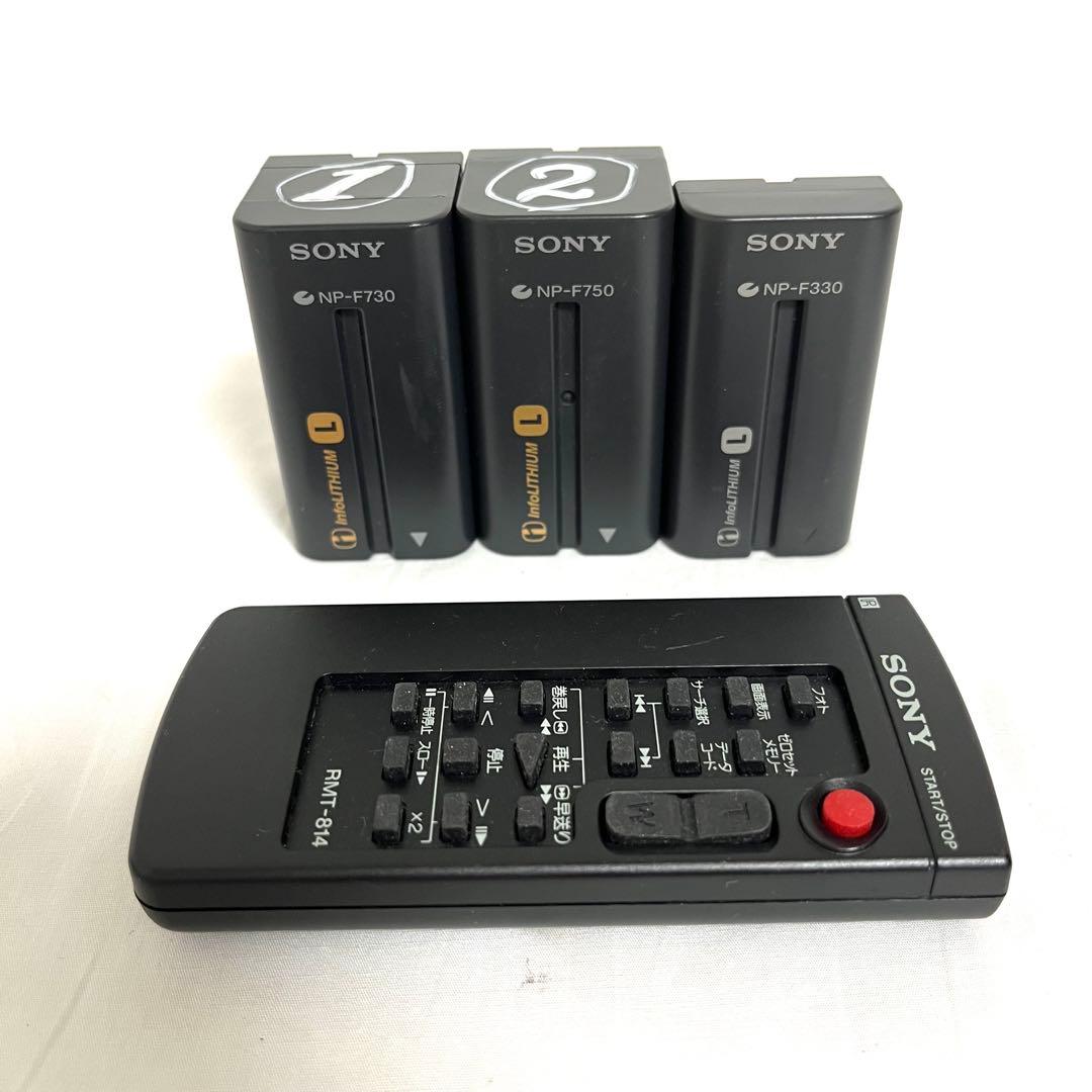 SONY ソニー デジタルビデオカメラ ハンディカム DCR-TRV310