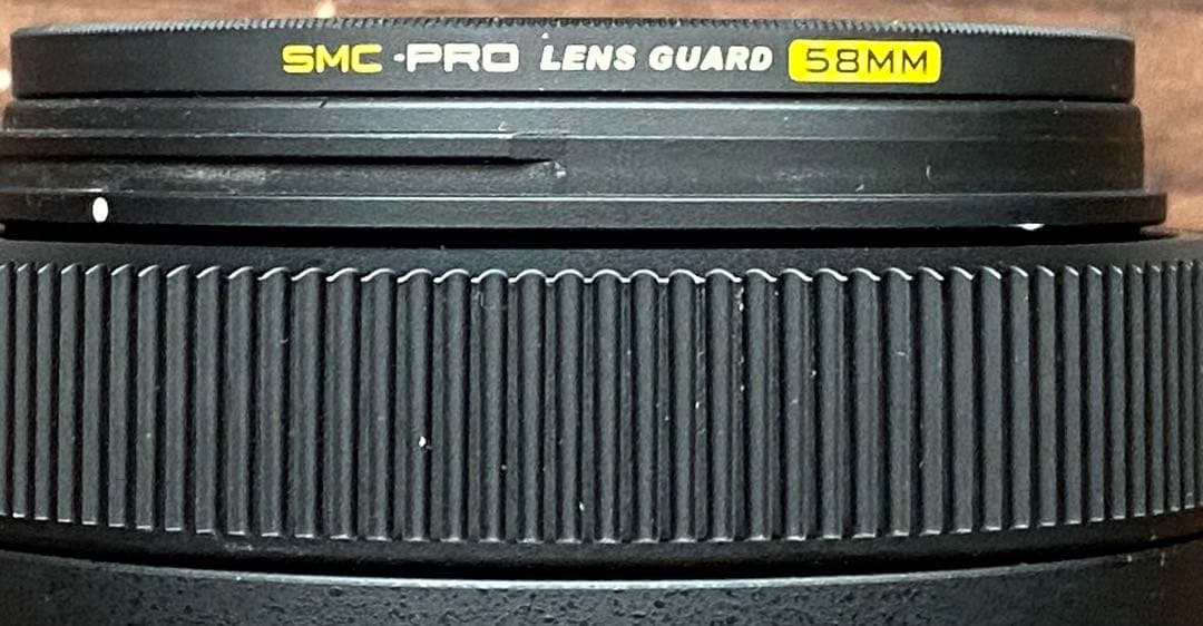 Nikonニコン AF-P DX 70-300mmF4.5-6.3G ED VR