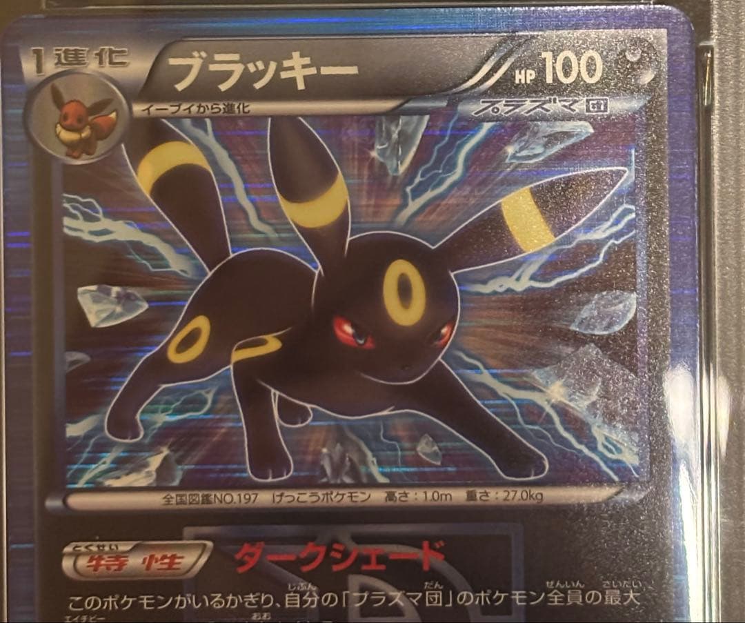 PSA8.9ブラッキー　グレイシア　プラズマ団　連番セット