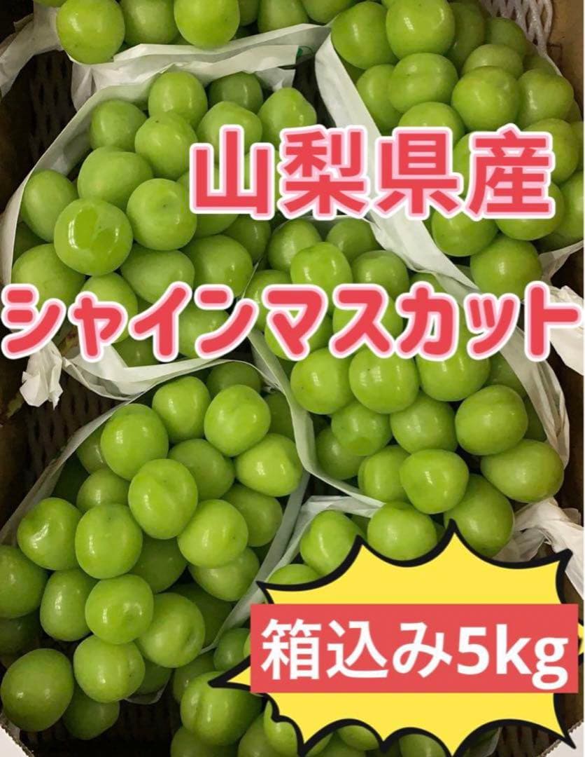 山梨県産　シャインマスカット　葡萄　ブトウ　ぶとう　箱込み5kg