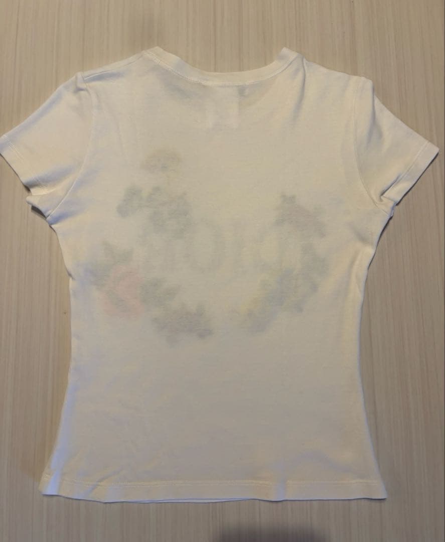 Dior レディディオールバッグ＆Dior Ｔシャツ