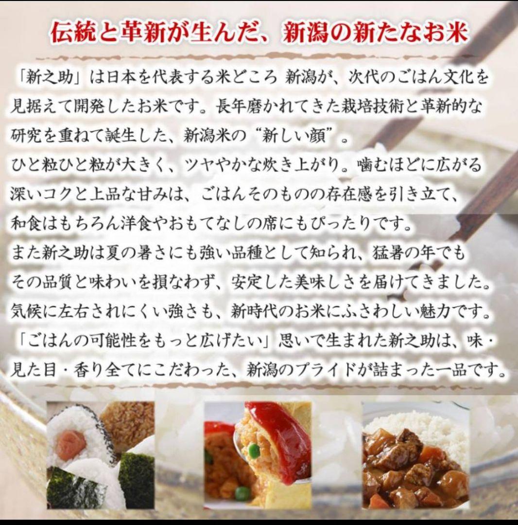 新潟県産 新之助 白米 10kg(5kg×2袋)