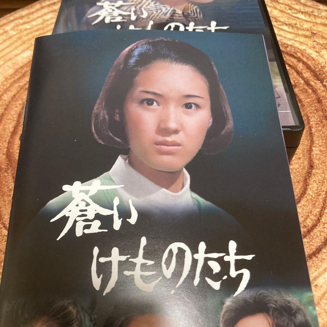 蒼いけものたち コレクターズDVD BOX 酒井和歌子主演