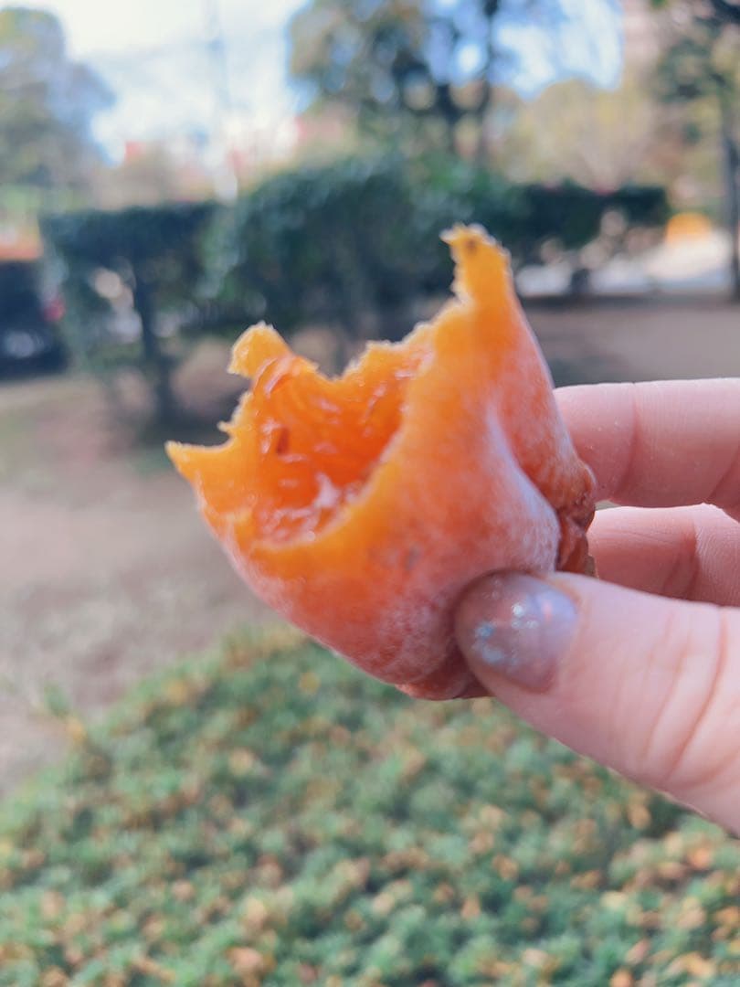 新物入荷‼️干し柿　干柿　アンポ柿　箱込み10kg