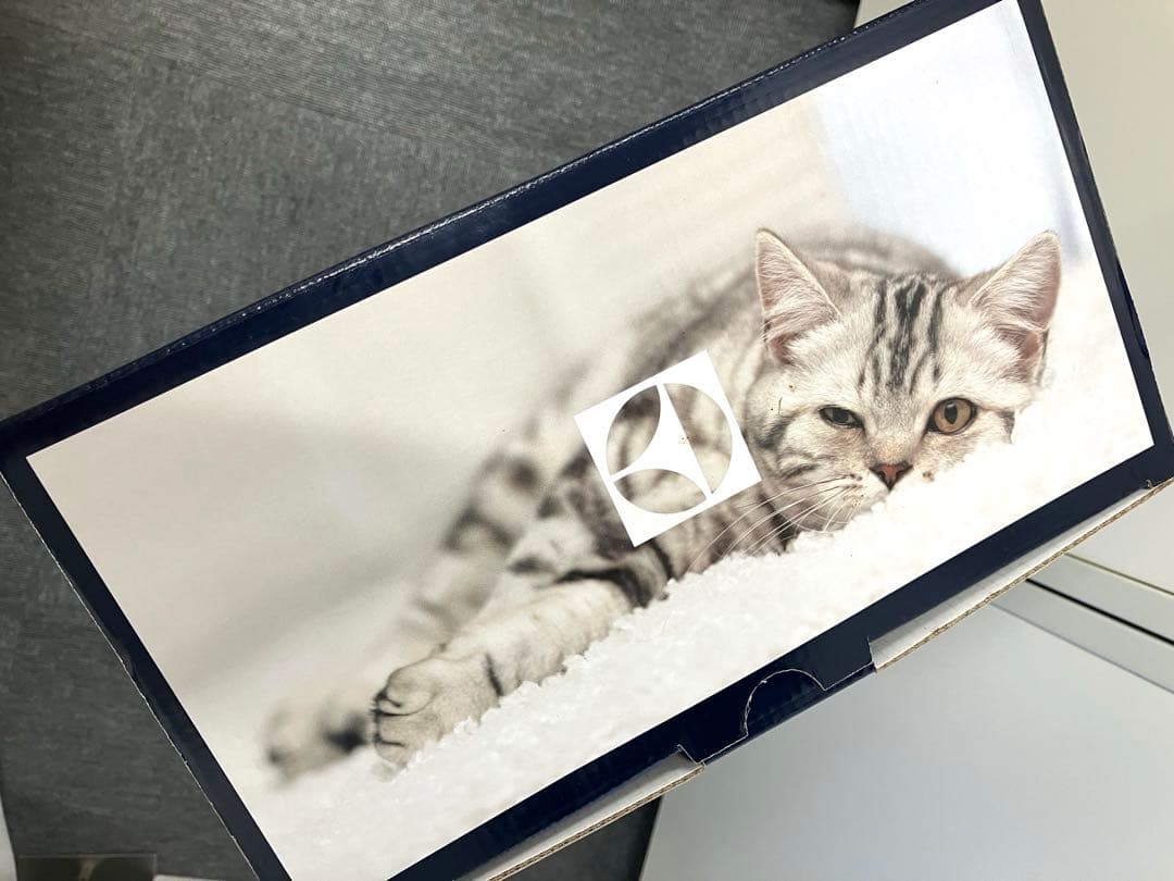 ［S12-56］新品 Electrolux スティッククリーナー ZB3107