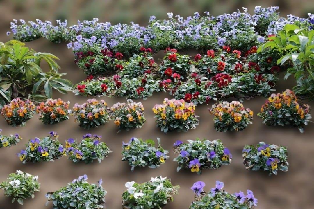 CANON EOS Kiss X8i ダブルズームキット