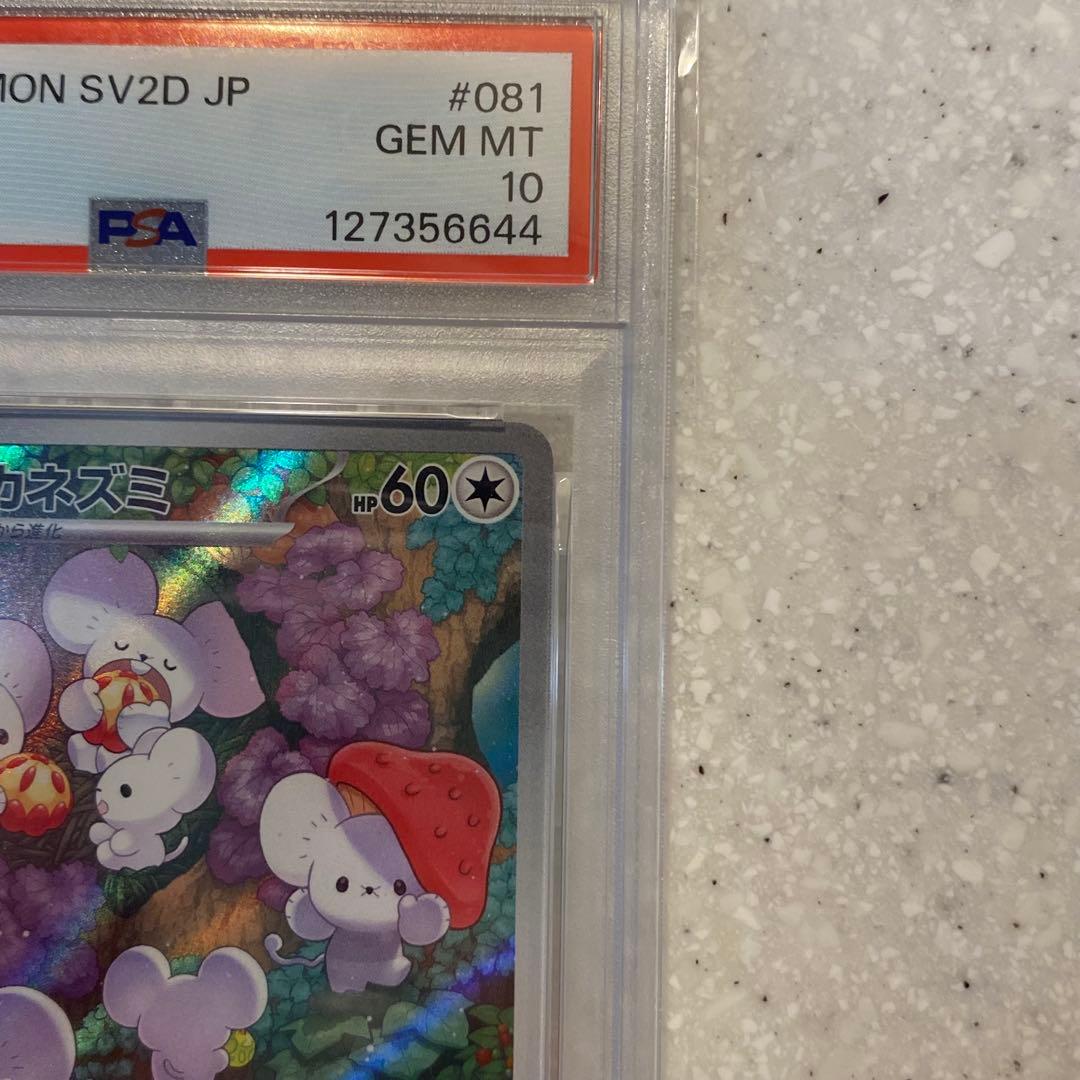 PSA10 イッカネズミ AR sv2D 081/071 クレイバースト