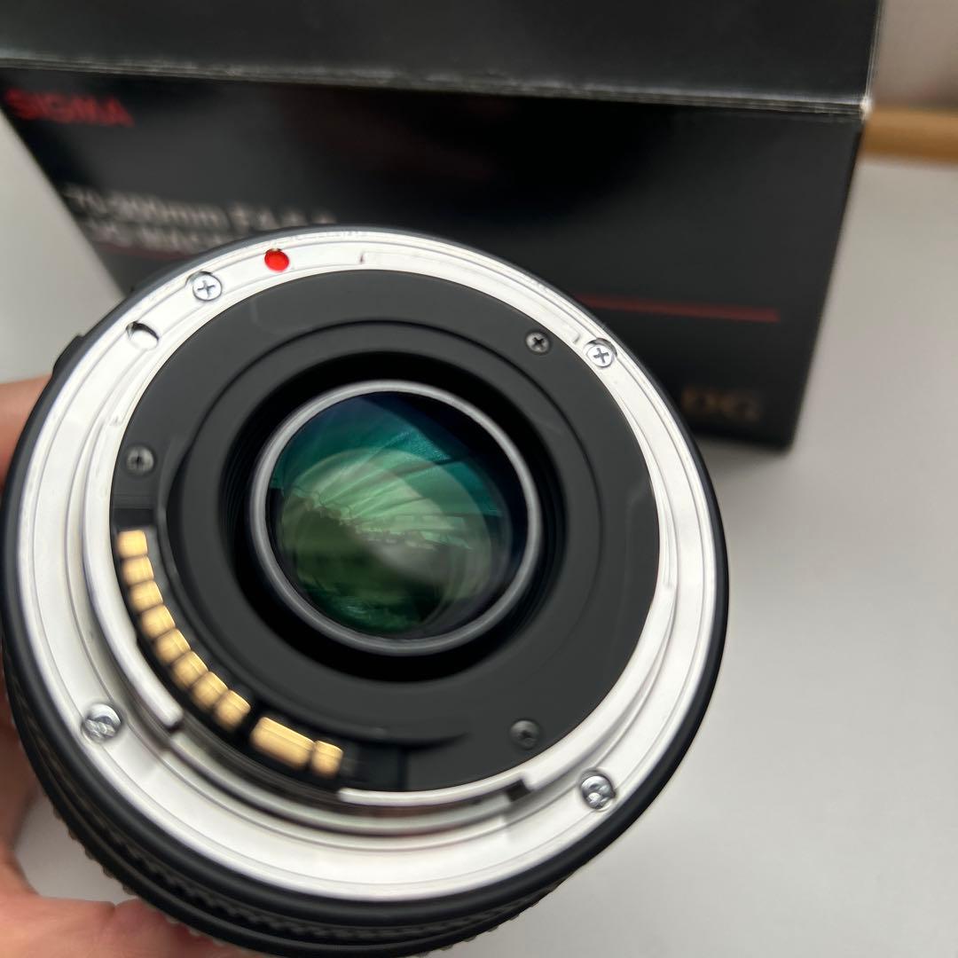 SIGMA レンズ　Canon 70-300mm F4-5.6 DG MACRO