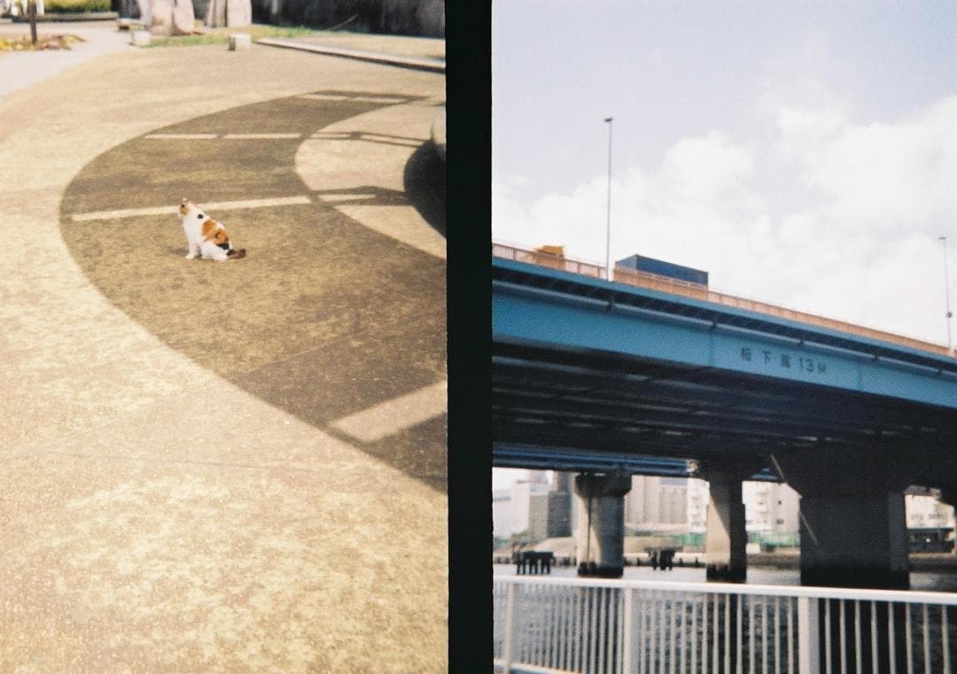 OLYMPUS PEN-EES （オリンパス ペンEES）サーモンピンク