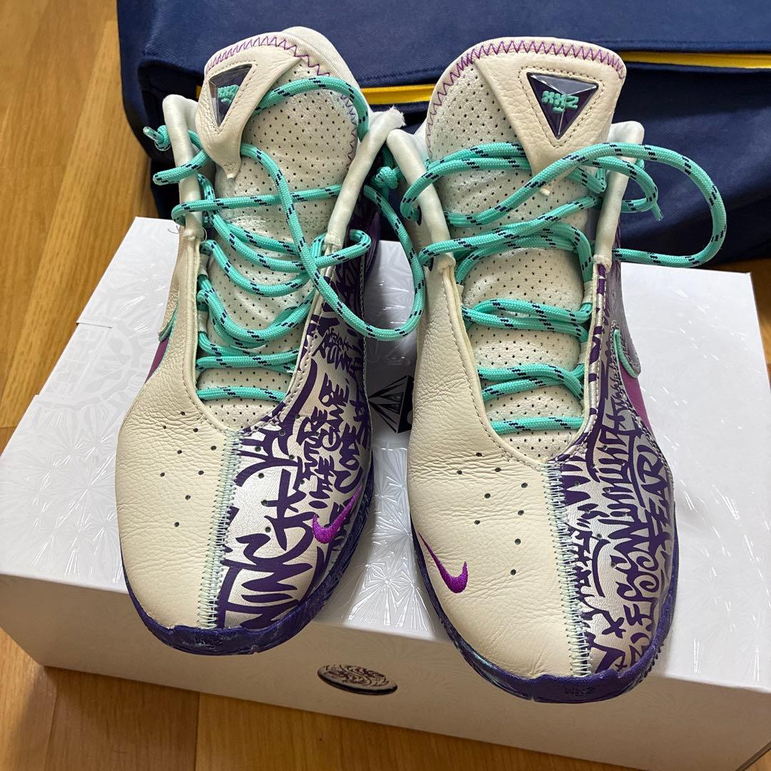 h*6様 Nike レブロン22EP