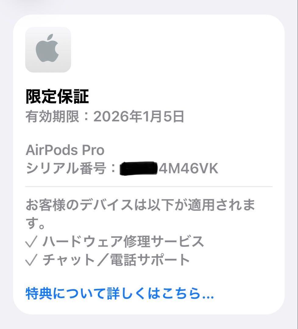 【箱有フルセット】Apple AirPods Pro 第二世代　USB-C