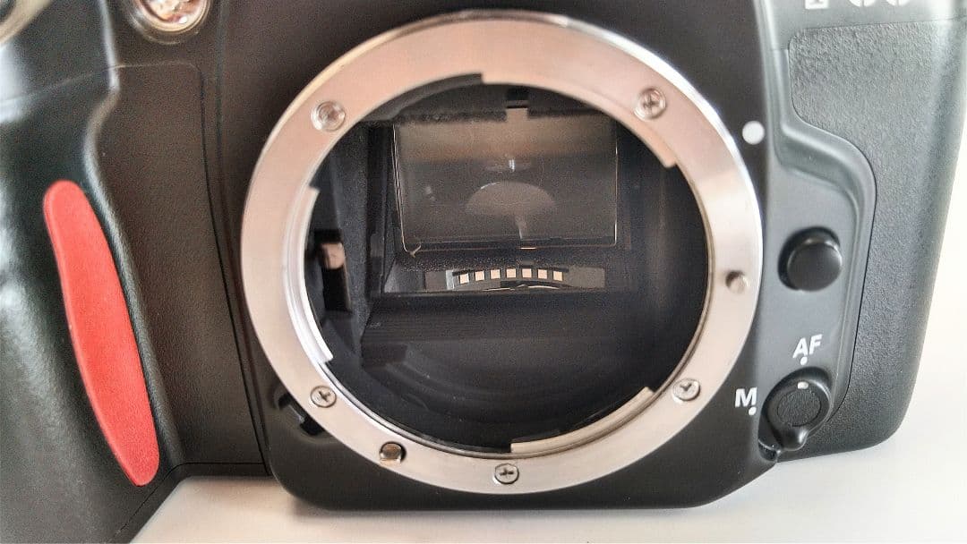 Nikon　F-60 DパノラマAFニッコール28-80mm. F3.5~5.6