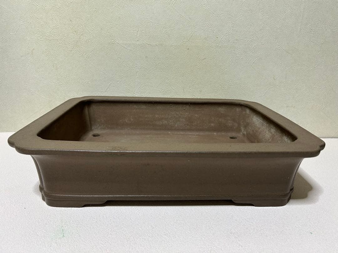 大型　佳山　盆栽鉢