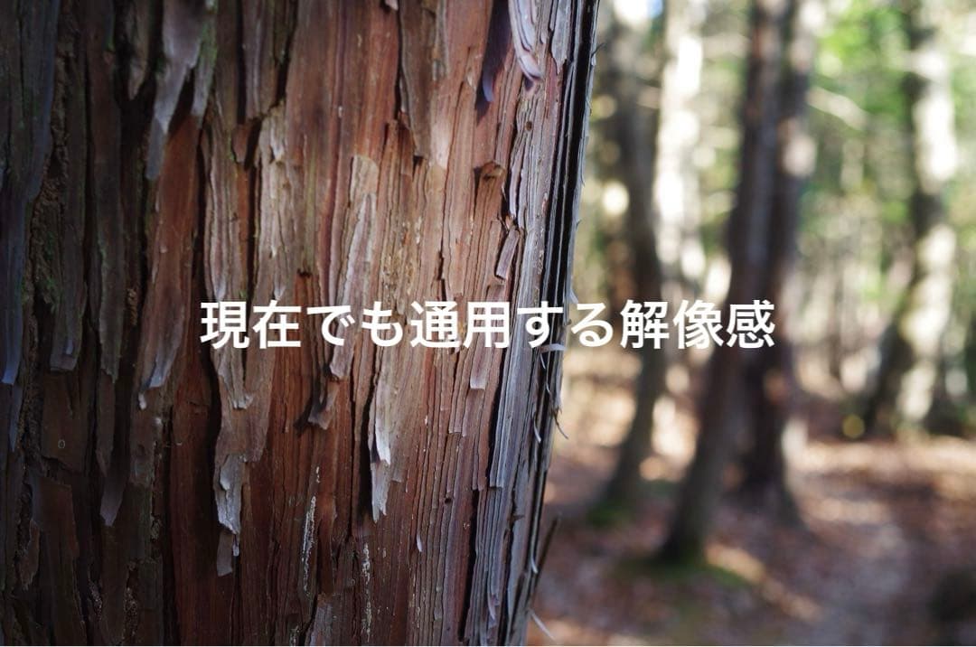 【完動品・1/5限りお値下げ】PENTAX K-30 ボディ