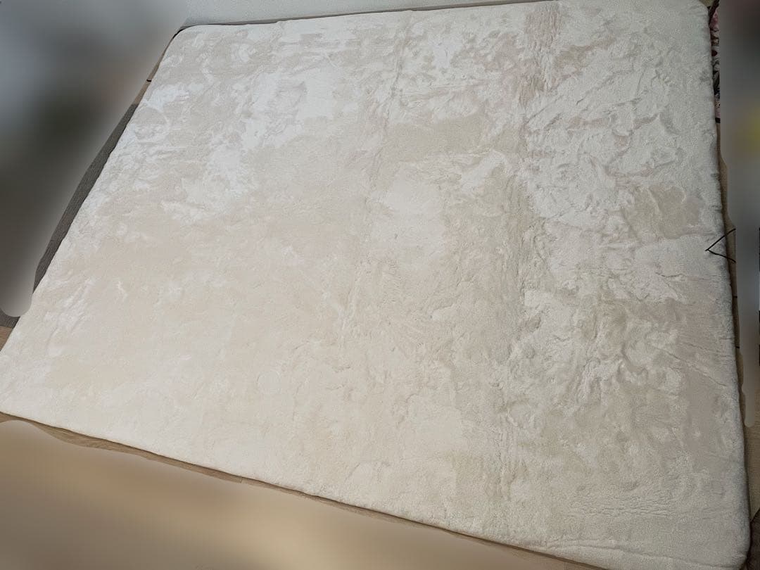 ニトリ 200×240 極厚マット カーペット ラグ Nウォーム